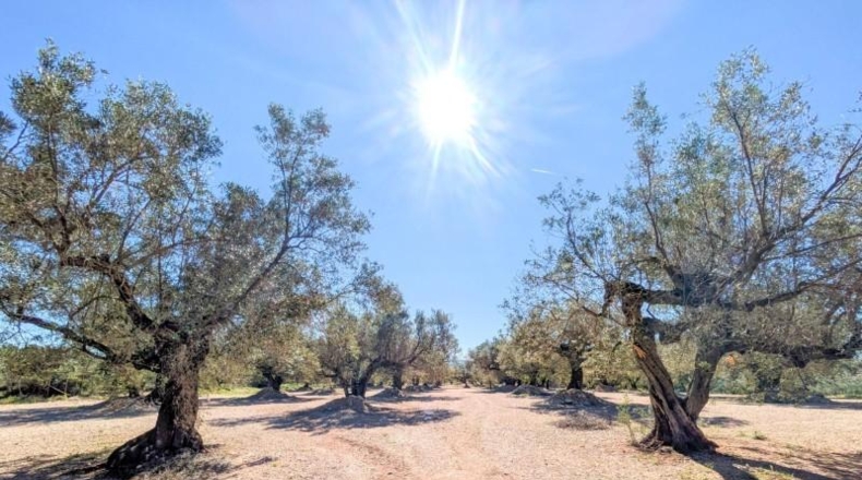 Tarragona - Mas de Barberans - 51555m2