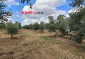 Chalet independiente con terreno en venta en la España, Alcaracejos, ref: TR301684 foto