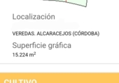 Chalet independiente con terreno en venta en la España, Alcaracejos, ref: TR301684 foto