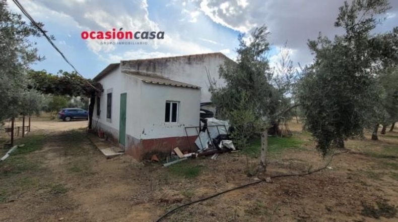 Córdoba - Alcaracejos - 15224m2