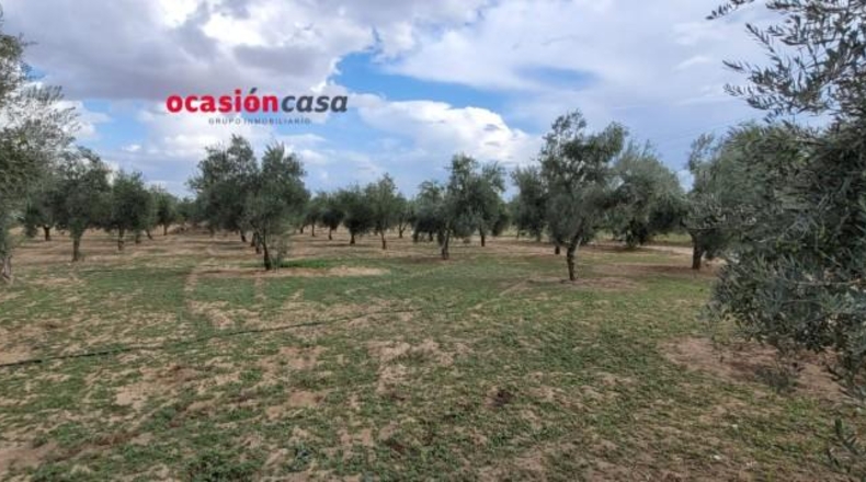 Córdoba - Alcaracejos - 15224m2