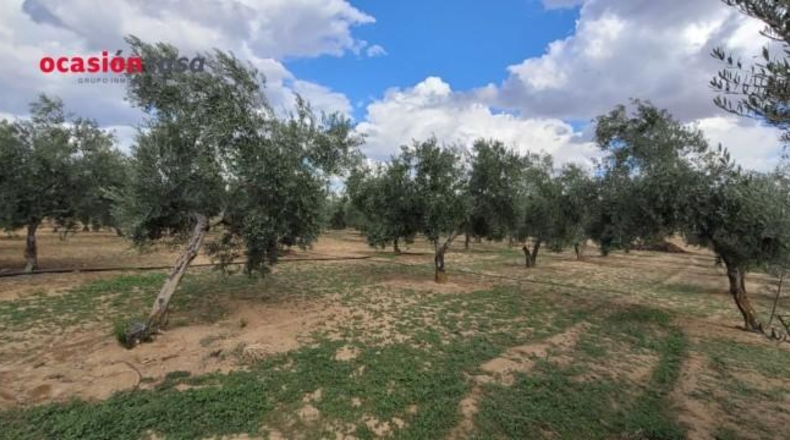 Córdoba - Alcaracejos - 15224m2
