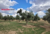 Chalet independiente con terreno en venta en la España, Alcaracejos, ref: TR301684 foto