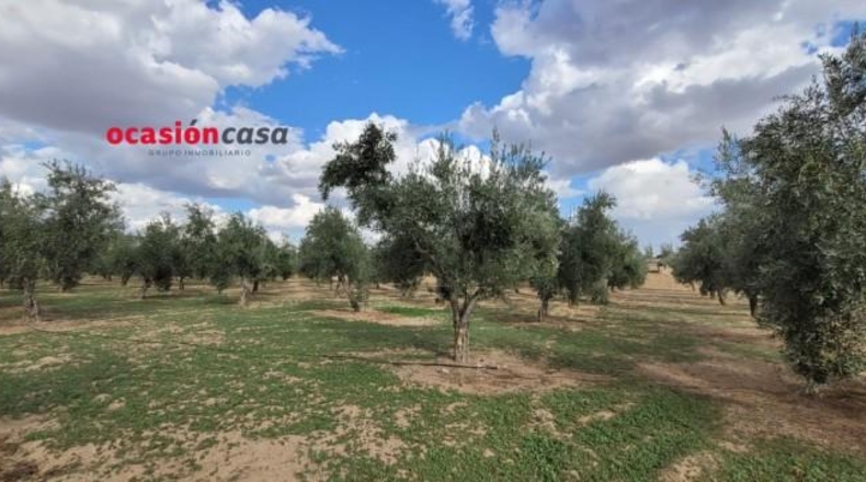 Córdoba - Alcaracejos - 15224m2