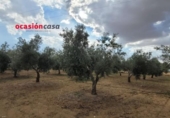 Chalet independiente con terreno en venta en la España, Alcaracejos, ref: TR301684 foto