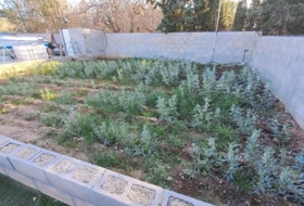 Foto 12