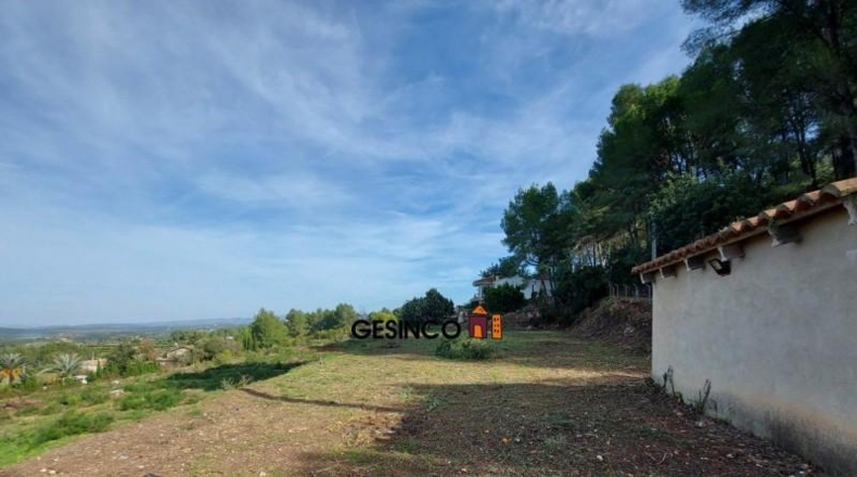 Valencia - el Genovés - 10229m2