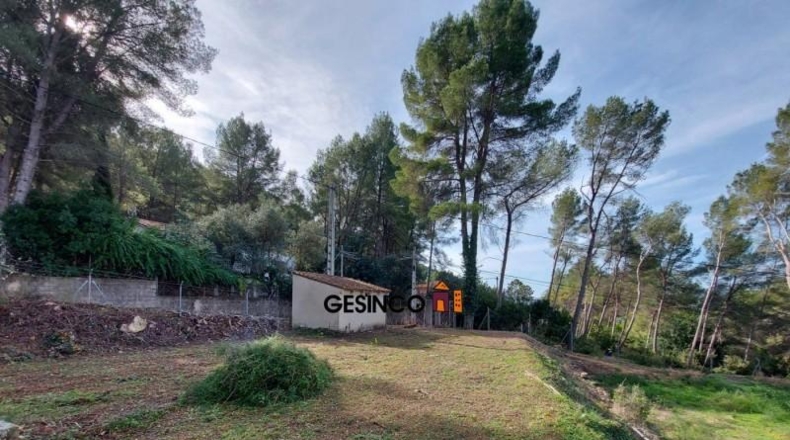 Valencia - el Genovés - 10229m2