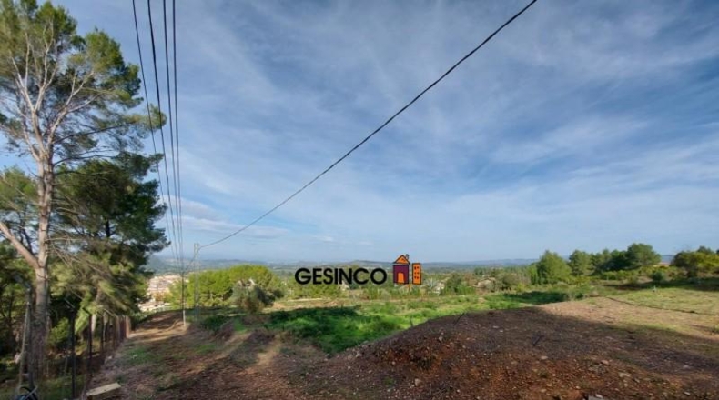 Valencia - el Genovés - 10229m2
