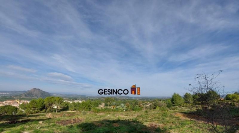 Valencia - el Genovés - 10229m2
