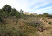 Terreny no urbanitzable en venda a la España, Xiva, ref.: TR129853 foto