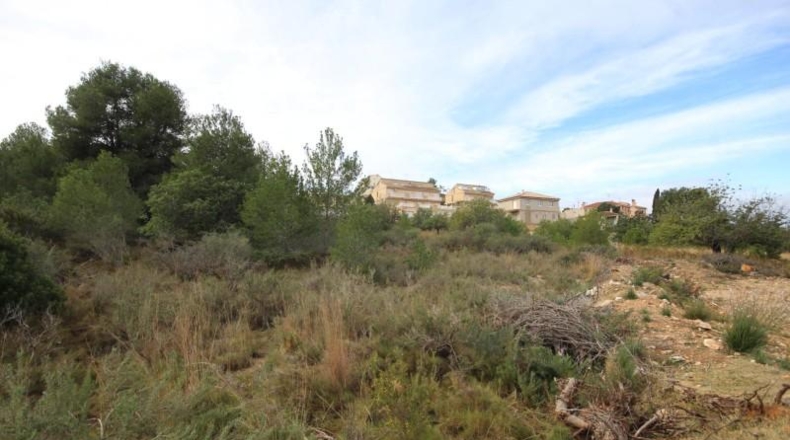 Valencia - Chiva - 5170m2