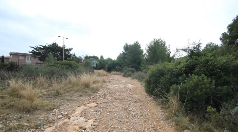 Valencia - Chiva - 5170m2