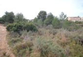 Terreny no urbanitzable en venda a la España, Xiva, ref.: TR129853 foto