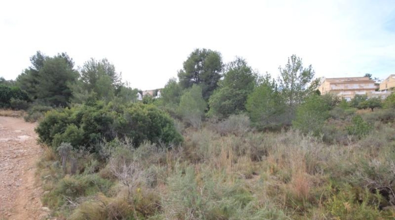 Valencia - Chiva - 5170m2