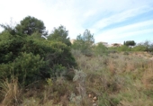 Terreny no urbanitzable en venda a la España, Xiva, ref.: TR129853 foto