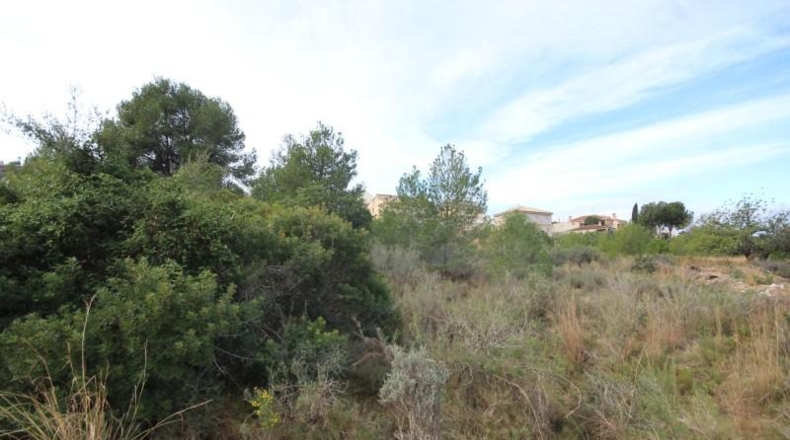 Valencia - Chiva - 5170m2