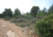 Terreny no urbanitzable en venda a la España, Xiva, ref.: TR129853 foto