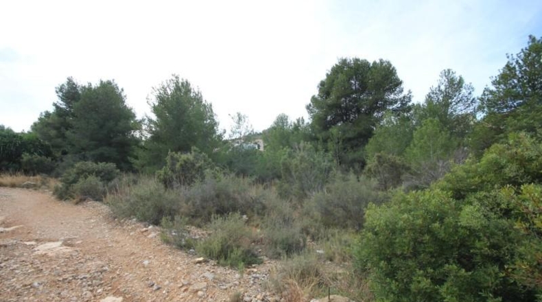 Valencia - Chiva - 5170m2