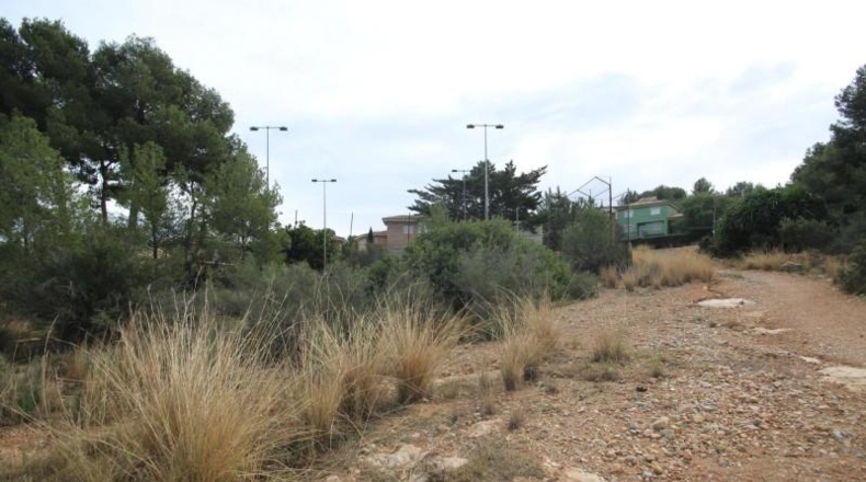 Valencia - Chiva - 5170m2
