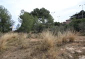 Terreny no urbanitzable en venda a la España, Xiva, ref.: TR129853 foto