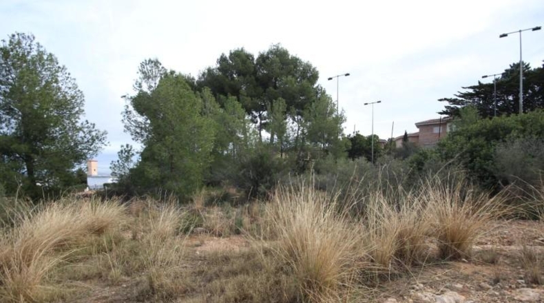 Valencia - Chiva - 5170m2