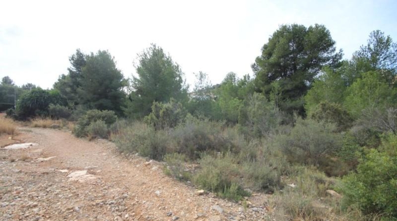 Valencia - Chiva - 5170m2