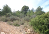 Terreny no urbanitzable en venda a la España, Xiva, ref.: TR129853 foto