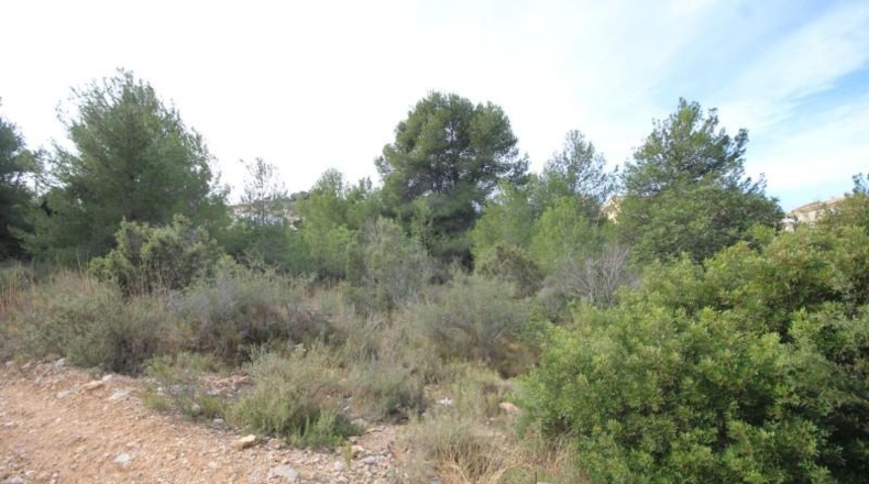 Valencia - Chiva - 5170m2