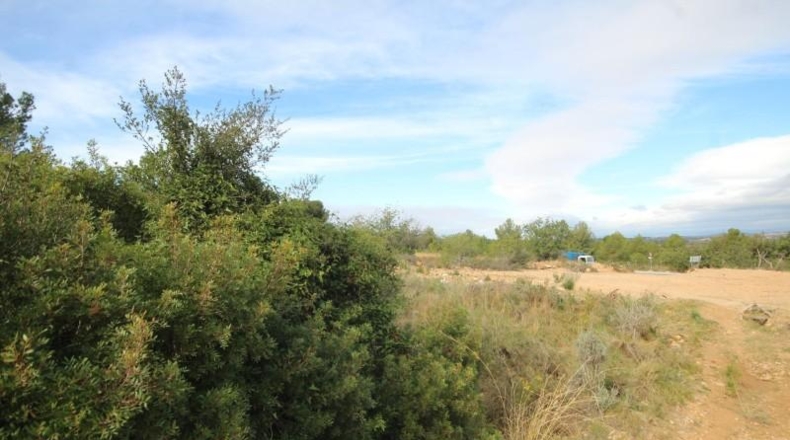 Valencia - Chiva - 5170m2