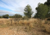 Terreny no urbanitzable en venda a la España, Xiva, ref.: TR129853 foto