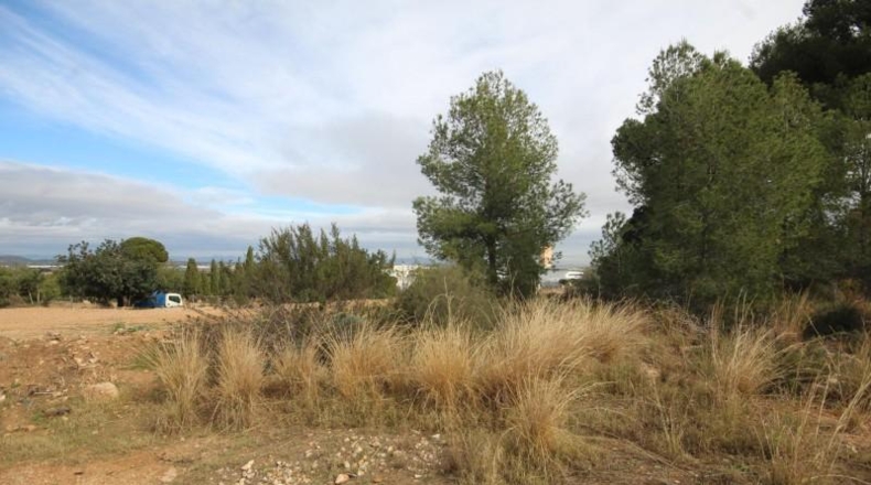 Valencia - Chiva - 5170m2