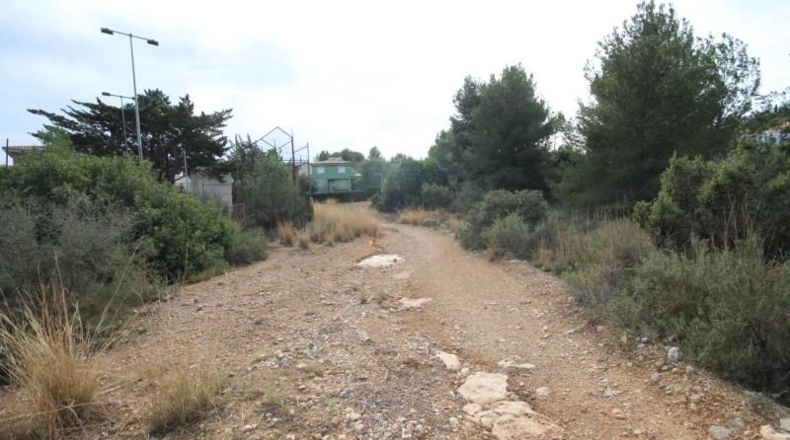 Valencia - Chiva - 5170m2