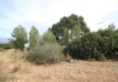 Terreny no urbanitzable en venda a la España, Xiva, ref.: TR129853 foto