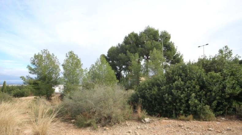 Valencia - Chiva - 5170m2