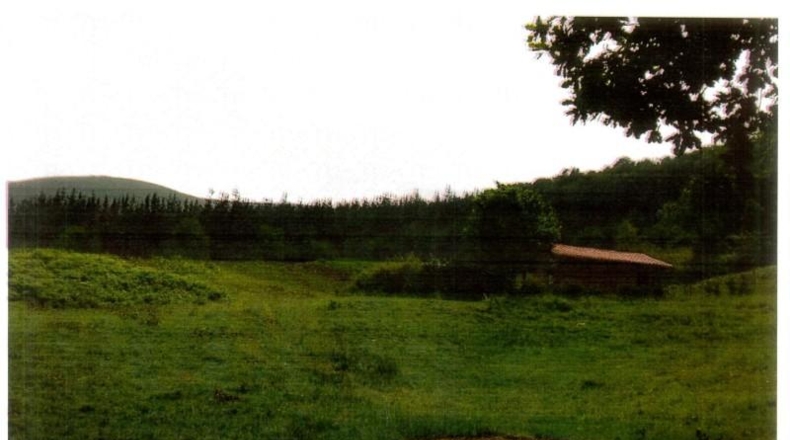 Cantabria - Ruente - 38220m2
