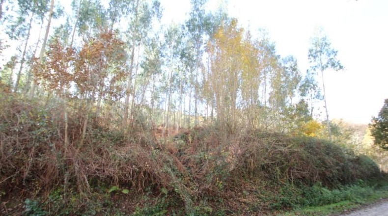 Cantabria - Ruente - 38220m2