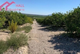 Abanilla 18447&nbsp;m²