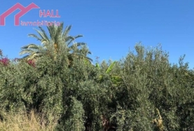 Abanilla 18447&nbsp;m²