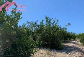Abanilla 18447&nbsp;m²