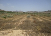 Terreno no urbanizable en venta en la España, Ítrabo, ref: TR397120 foto