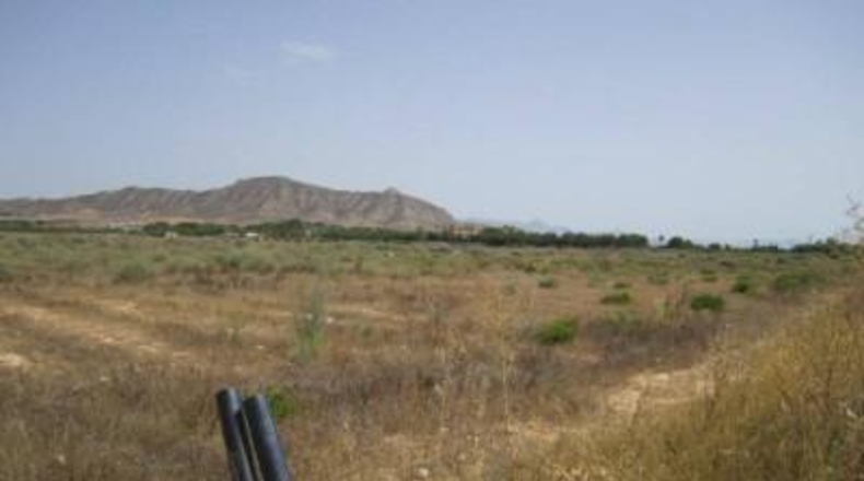 Alicante - Aspe - 20600m2