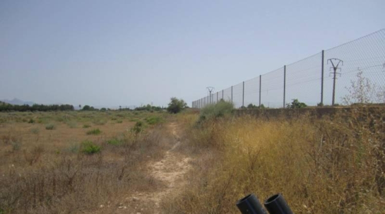 Alicante - Aspe - 20600m2
