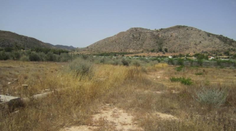 Alicante - Aspe - 20600m2