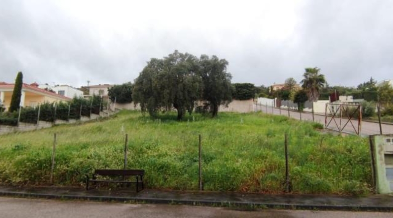 Cáceres - Sierra de Fuentes - 1200m2