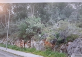 Suelo urbano en venta en la España, Alzira, ref: TR121794 foto