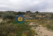 Casa de campo con terreno en venta en la España, Lorca, ref: TR301871 foto