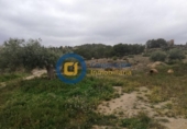 Casa de campo con terreno en venta en la España, Lorca, ref: TR301871 foto