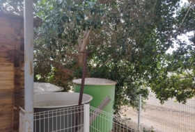Foto 13