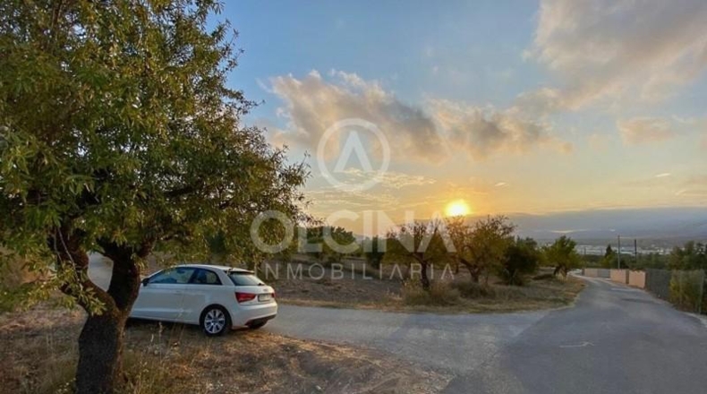 Alicante - Ibi - 15884m2